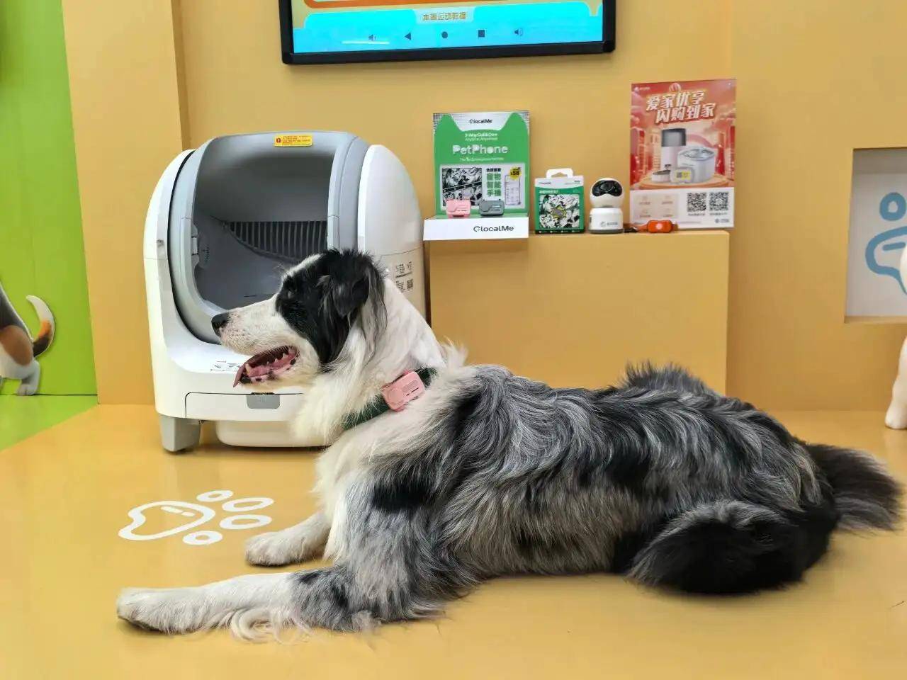 6：9大方向最火中企霸场机器人全明星大乱斗pg电子模拟器暴走2万步逛遍CES202(图51)