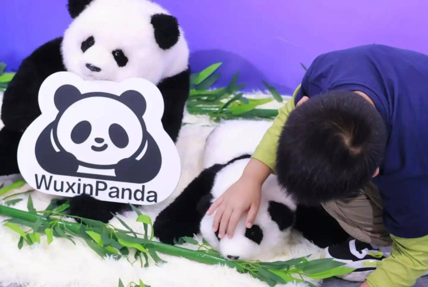 6：9大方向最火中企霸场机器人全明星大乱斗pg电子模拟器暴走2万步逛遍CES202(图57)