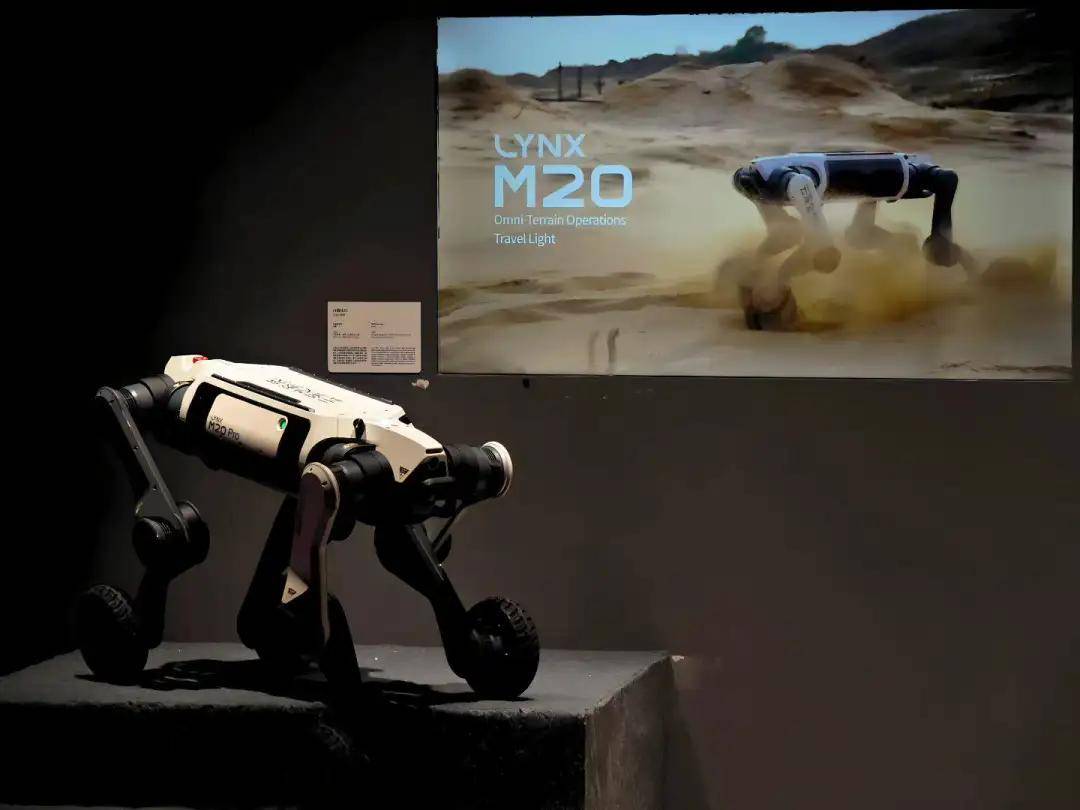 6：9大方向最火中企霸场机器人全明星大乱斗pg电子模拟器暴走2万步逛遍CES202(图107)